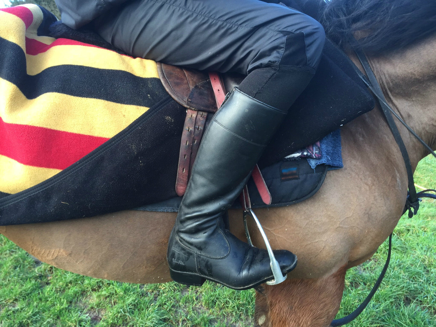 Sandown Trackwork Boot